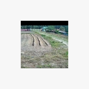 Giải pháp thi công hệ thống Camera giám sát dành cho trang trại Giải pháp thi công hệ thống Camera giám sát dành cho trang trại